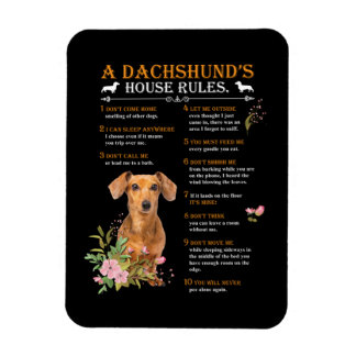Regels voor het Dachshund-huis Magneet