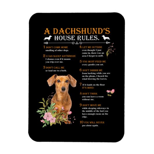 Regels voor het Dachshund-huis Magneet (Verticaal)