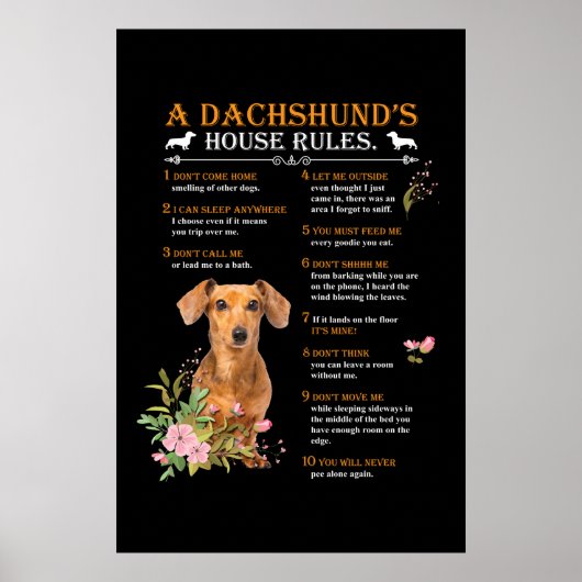 Regels voor het Dachshund-huis Poster (Voorkant)