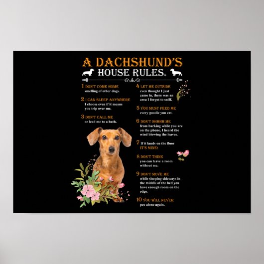 Regels voor het Dachshund-huis Poster (Voorkant)