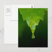 Regen Briefkaart (Voorkant / Achterkant)