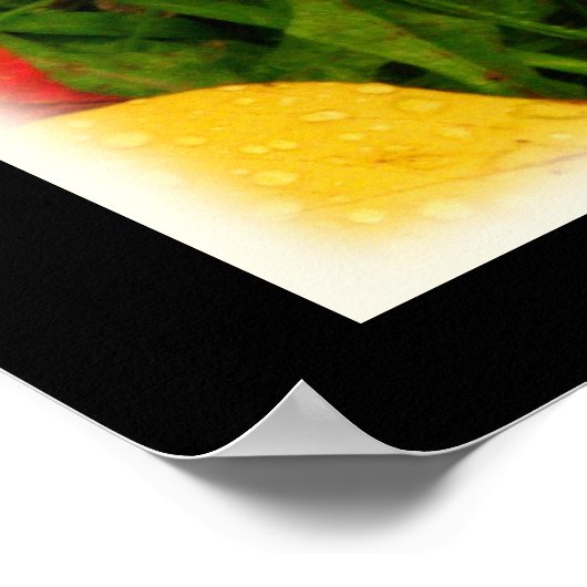 Regen daalt najaar Poster (Hoek)