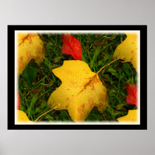 Regen daalt najaar Poster