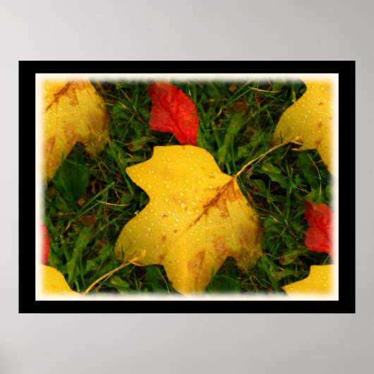 Regen daalt najaar Poster (Voorkant)