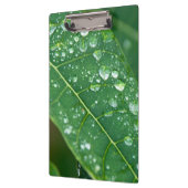 Regen daalt op Tropisch Papaya Leaf Klembord (Links)