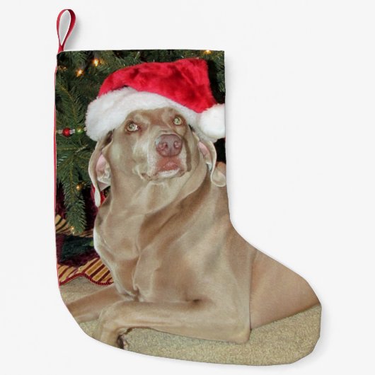 Regen de kerststop van de Cute Weimaraner Dog Kleine Kerstsok (Voorkant)