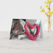 Regen de Weimaraner Dog's Valentijnsdag Kaart (Gele Bloem)