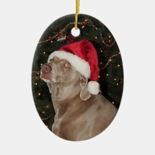 Regen de Weimaraner - een kerstversiering Keramisch Ornament (Voorkant)