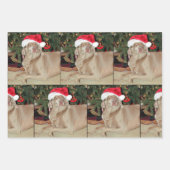 Regen de Weimaraner Hond Kerstmis Wrapping Paper (Voorkant)