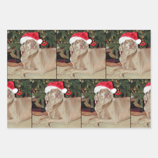 Regen de Weimaraner Hond Kerstmis Wrapping Paper (Voorkant 3)