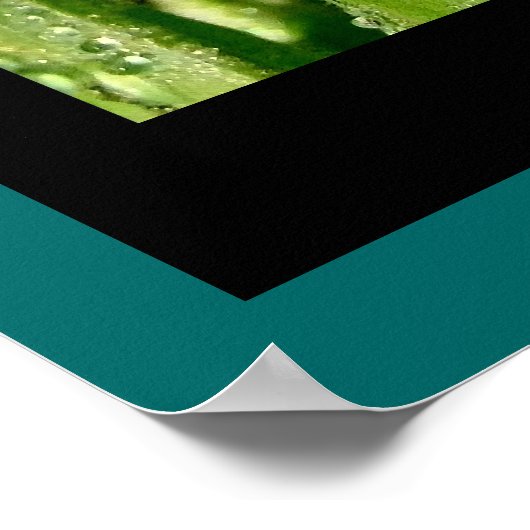 Regen druppels op grasafdrukken poster (Hoek)