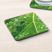 Regen druppels op groen Papaya Leaf Bier Onderzetter (Linkerzijde)