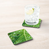 Regen druppels op groen Papaya Leaf Bier Onderzetter (Rechterzijde)