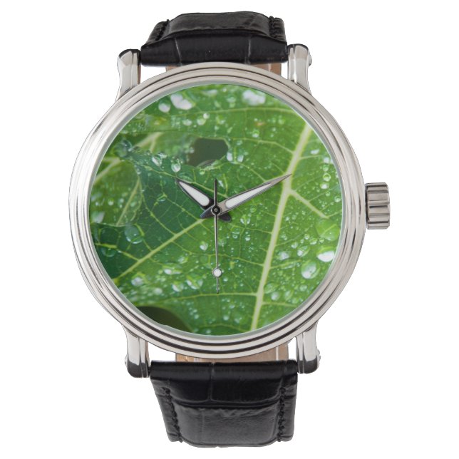 Regen druppels op groen Papaya Leaf Horloge (Voorkant)