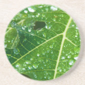 Regen druppels op groen Papaya Leaf Zandsteen Onderzetter (Voorkant)