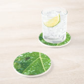 Regen druppels op groen Papaya Leaf Zandsteen Onderzetter (Zijkant)