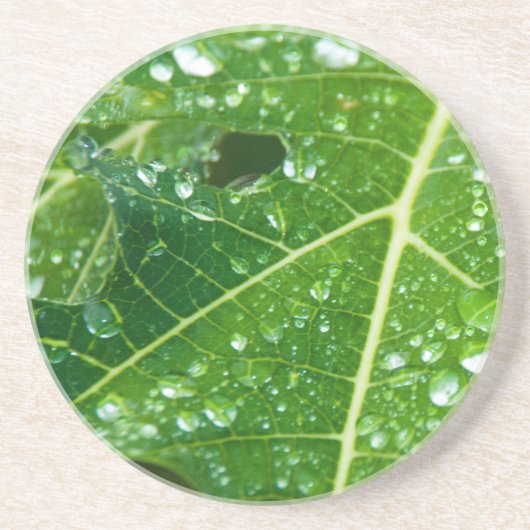 Regen druppelt op Tropisch Groen Papaya Leaf Zandsteen Onderzetter (Voorkant)