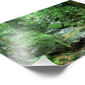 Regen Forest Cairns Australië Foto Afdruk (Hoek)