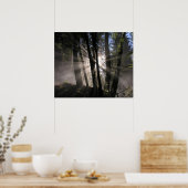 Regen Forest Sun Rays Poster (Keuken)