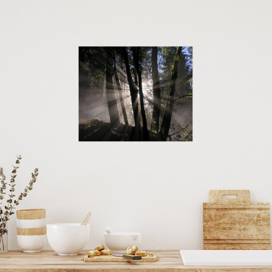 Regen Forest Sun Rays Poster (Keuken)