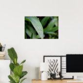 Regen gedekte grasblades poster (Thuiskantoor)