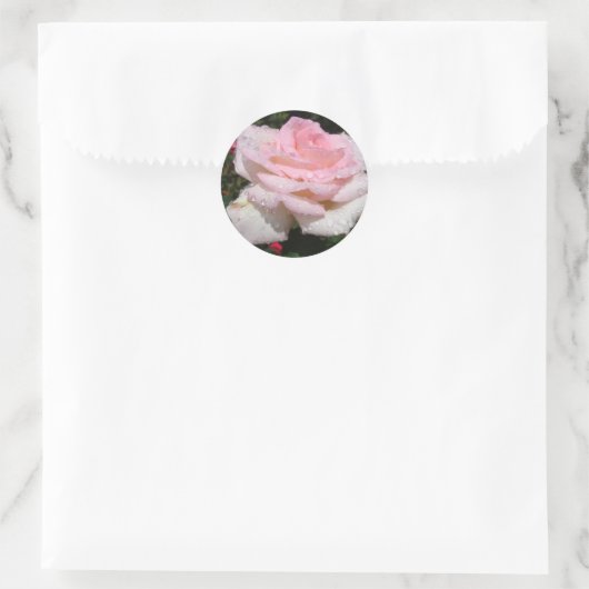 Regen - gestrooid Roos Ronde Sticker (Tas)