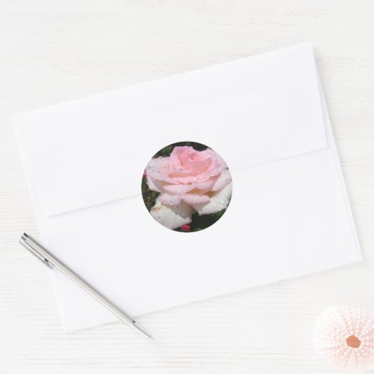 Regen - gestrooid Roos Ronde Sticker (Envelop)