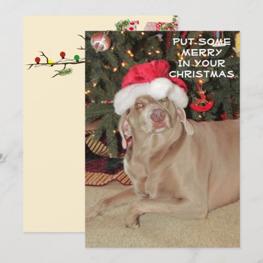 Regen in de Weimaraner's Kerstmis (Voorkant / Achterkant)