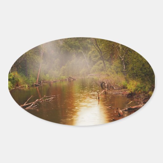 Regen in het bos ovale sticker (Voorkant)