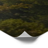 "Regen in het Poster van de Smoky Mountains" (Hoek)