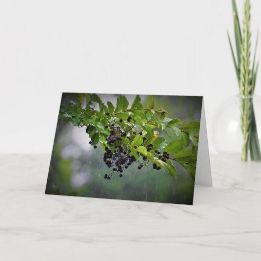 Regen, kaart (Voorkant)