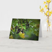 Regen, kaart (Gele Bloem)