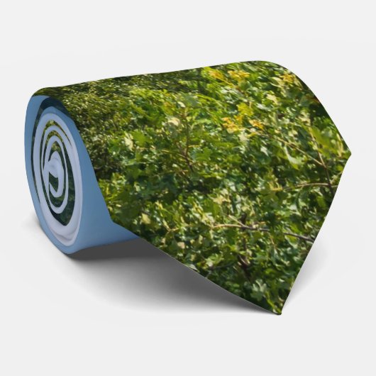 Regen komt langs petit Jean Stropdas (Opgerold)