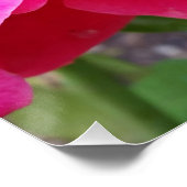 Regen op bladen poster (Hoek)