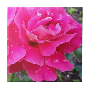 Regen op bloemblaadjes tegeltje