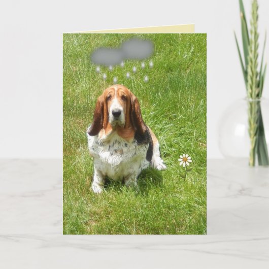 Regen op de Grappige Hond van de Kaart W/Basset (Voorkant)