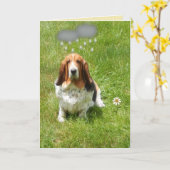 Regen op de Grappige Hond van de Kaart W/Basset (Gele Bloem)