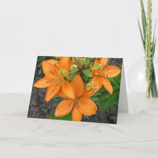 Regen op de Lillies Blank Note Kaart (Voorkant)