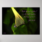 Regen op de ochtendglorie - poster (Voorkant)