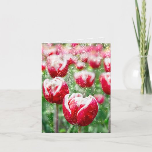 Regen op glas en rode tulpen kaart (Voorkant)