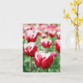 Regen op glas en rode tulpen kaart (Gele Bloem)