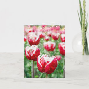 Regen op glas en rode tulpen kaart