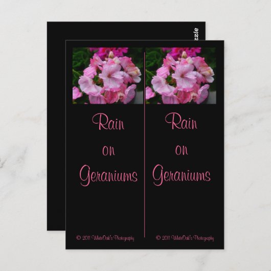 Regen op het Briefkaart Bladwijzer Geraniums (Voorkant / Achterkant)