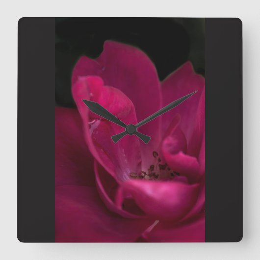 Regen op het roos vierkante klok (Voorkant)