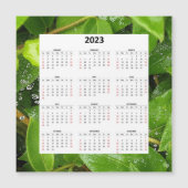 Regen op Spiderweb 2023 magnetische kalender (Voorkant)