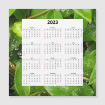 Regen op Spiderweb 2023 magnetische kalender