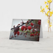 Regen op twig kaart (Gele Bloem)