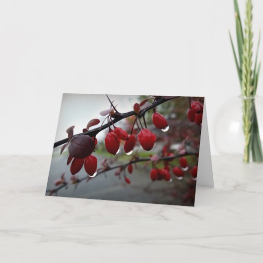 Regen op twig kaart (Voorkant)