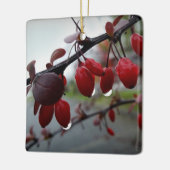 Regen op twig keramisch ornament (Links)