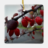Regen op twig keramisch ornament (Voorkant)